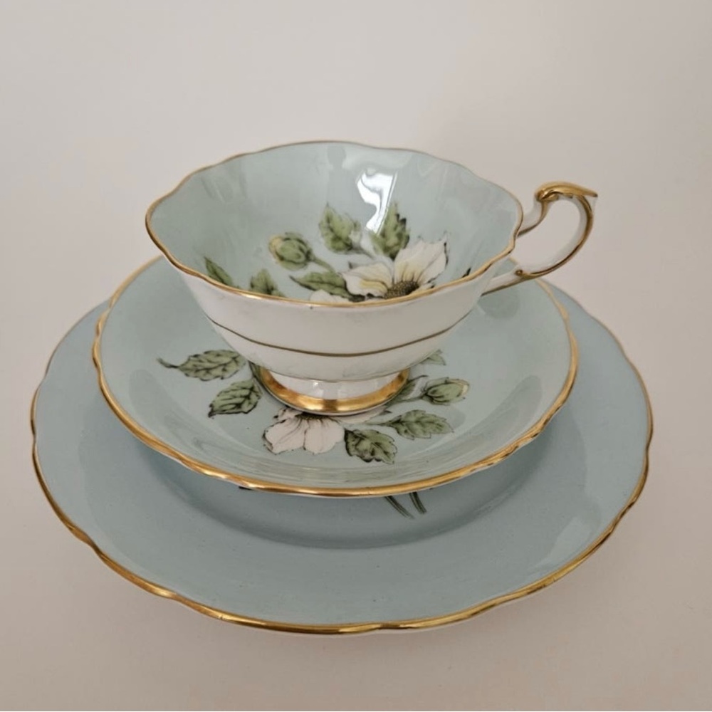 very rare vintage Paragon Double Warrant Dogwood tea cup trio